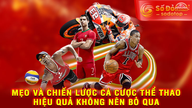 mẹo và chiến lược cá cược thể thao hiệu quả không nên bỏ qua