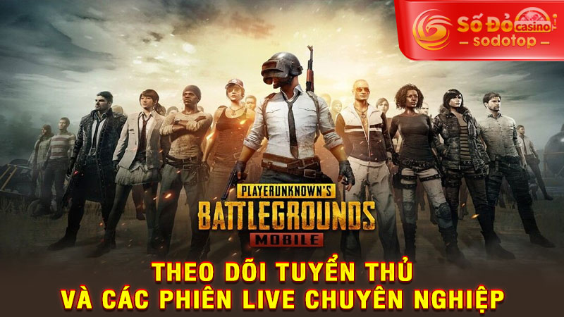 theo dõi tuyển thủ và các phiên live chuyên nghiệp