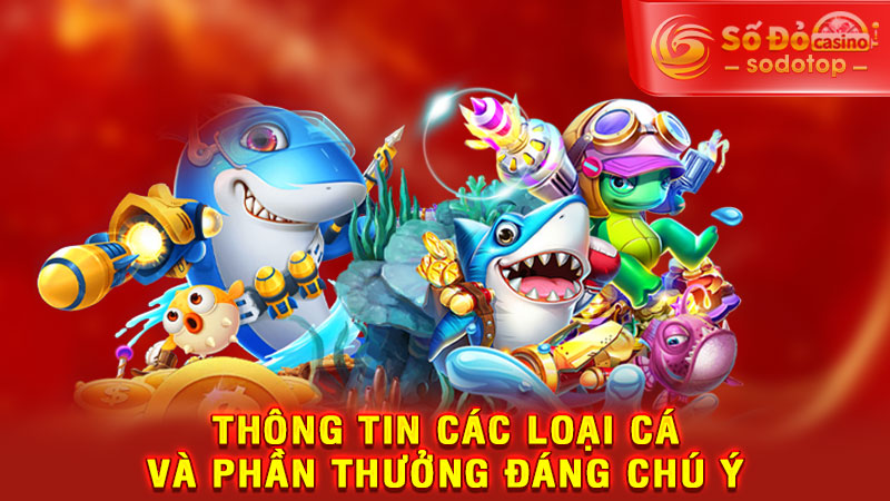 thông tin các loại cá và phần thưởng đáng chú ý