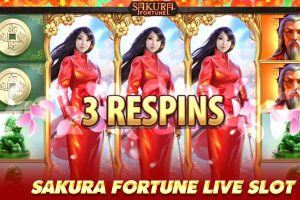 sakura fortune live slot